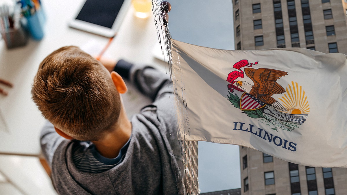 Divided image of the educator at home, Il flag