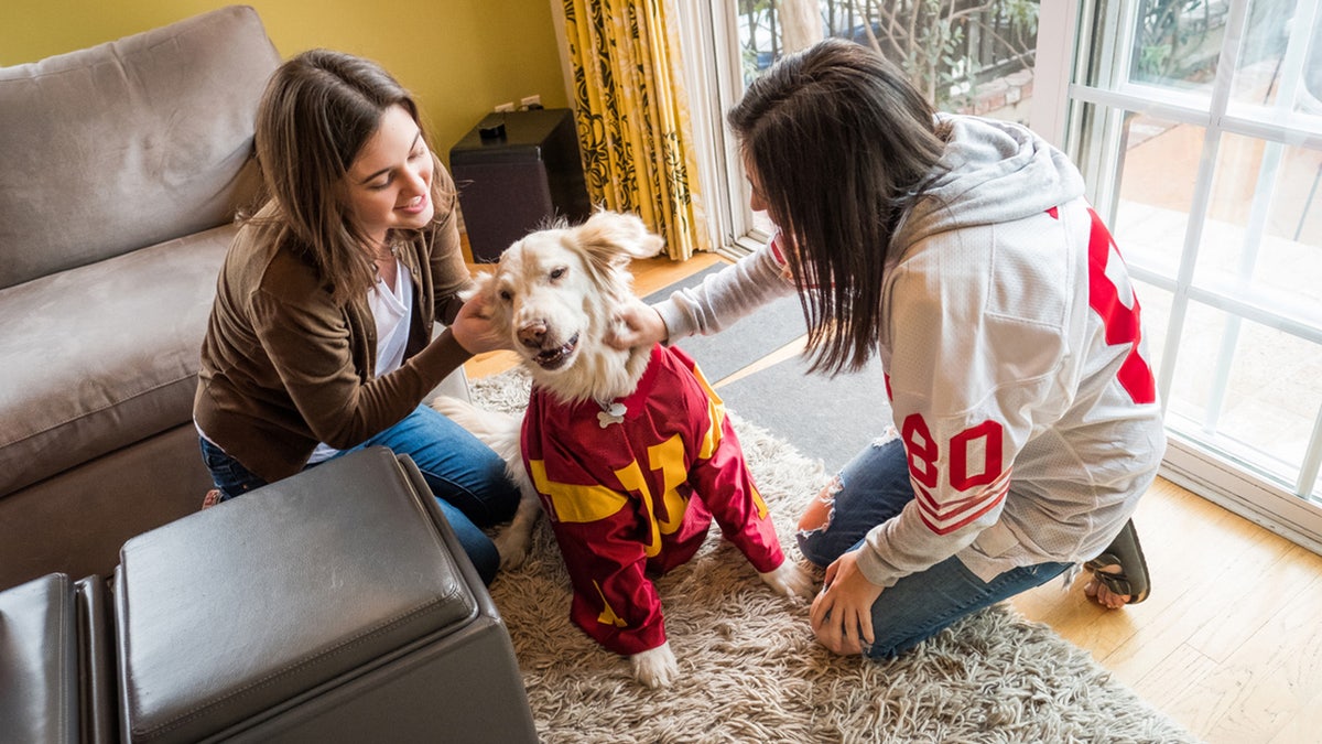 Get your pets ready for game day with their very own gear. 