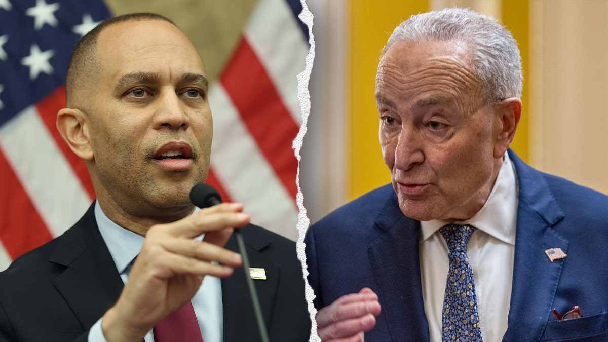 Jeffries / Schumer Split