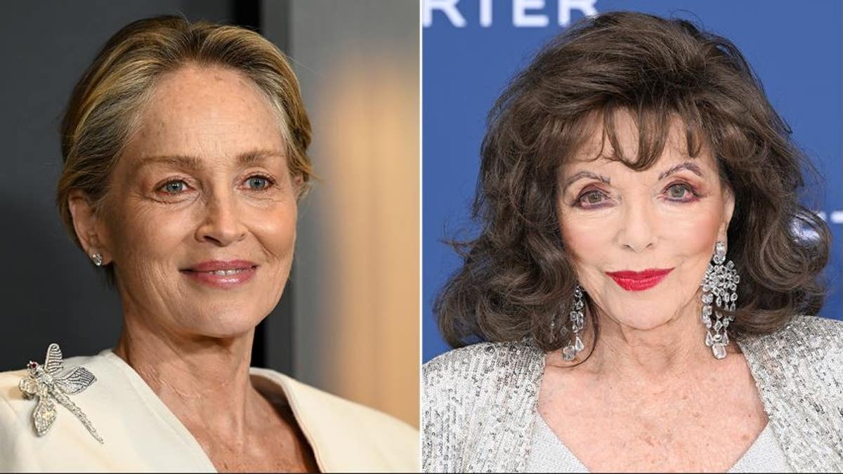 Divorce from Sharon Stone and Joan Collins