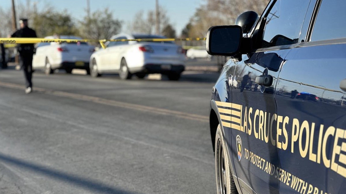 Police video, police car in Las Cruze