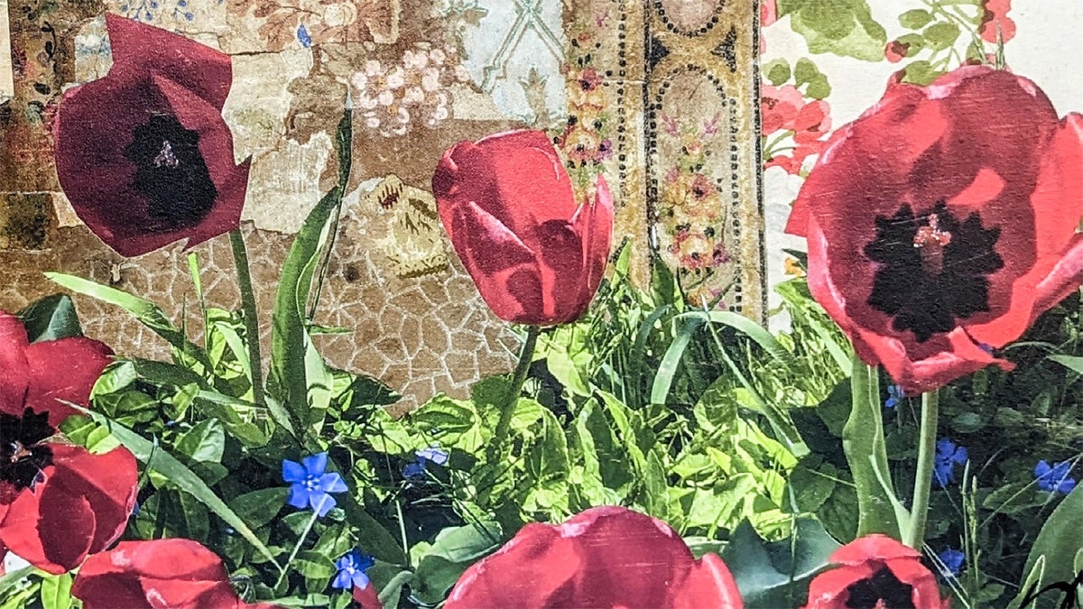 A close-up of Melora Hardin's collage wallpaper