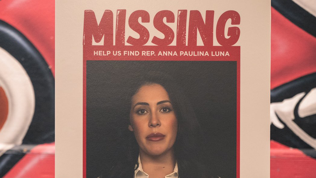 'Missing' Poster featuring Rep. Luna of Florida