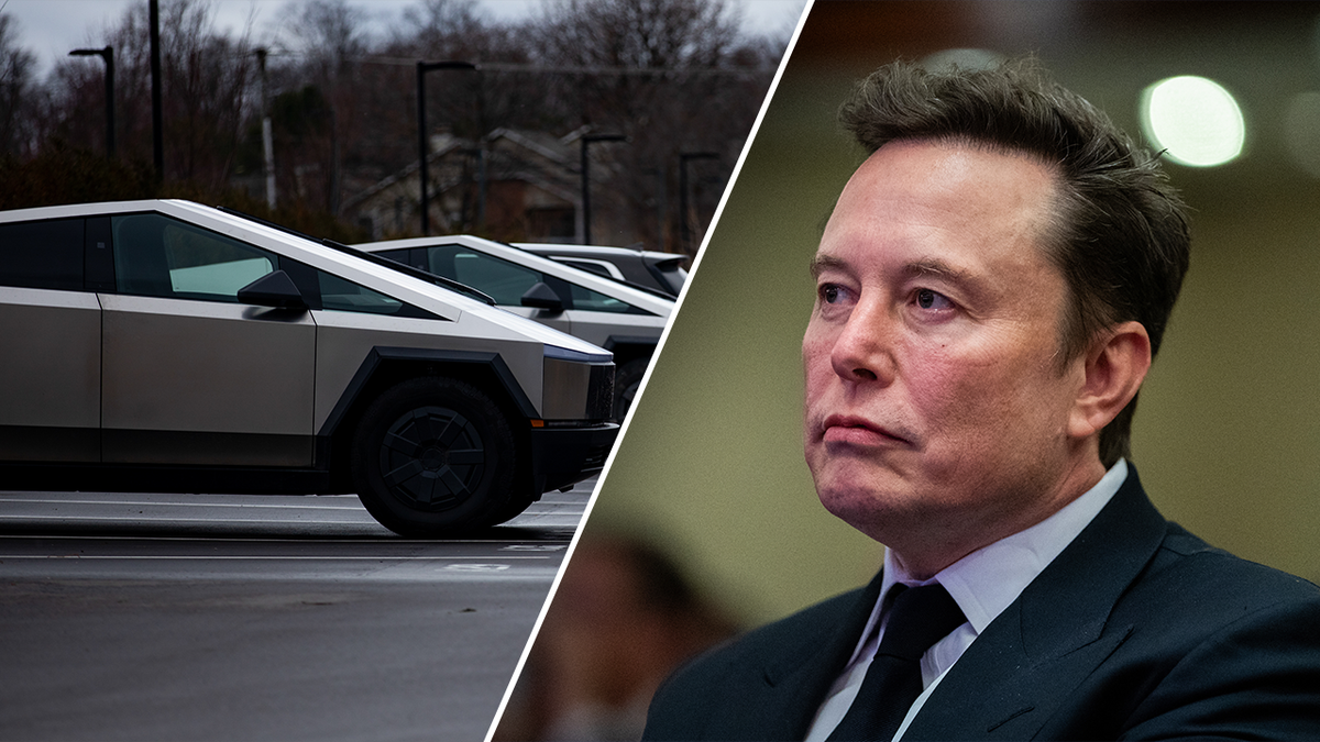 Teslas are becoming targets for attacks in protest of CEO Elon Musk's political involvement.