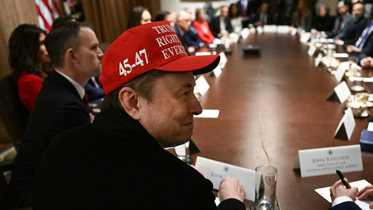 Elon Musk at Trump Cabinet meeting