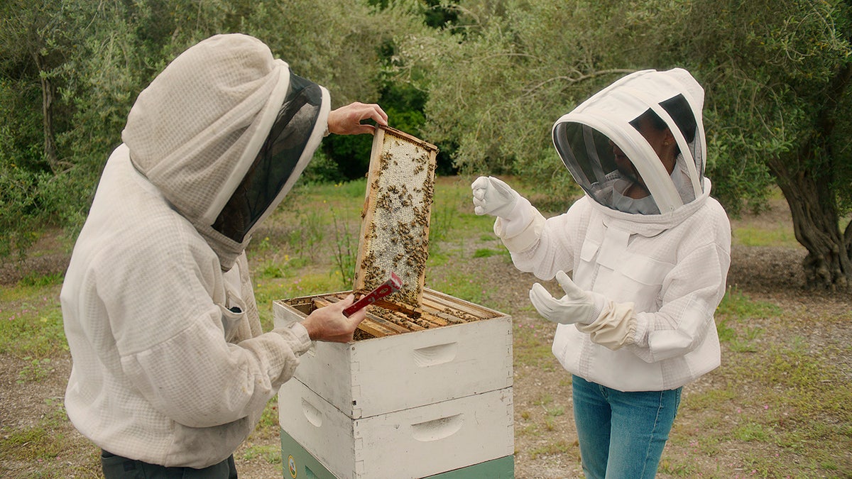 Meghan Markle and the Bee