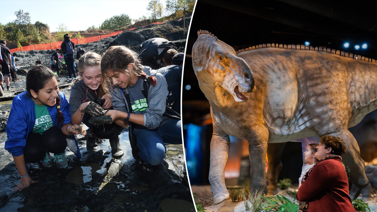 Dinosaur Museum in New Jersey 