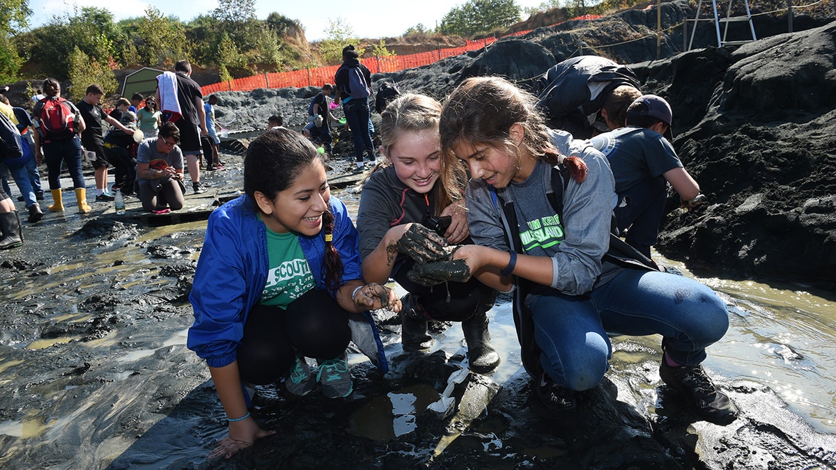 You find excavations in New Jersey Dinosaur while excavating the museum