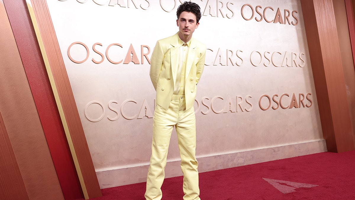 Timothee Chalamet brought a pop of color to the red carpet.