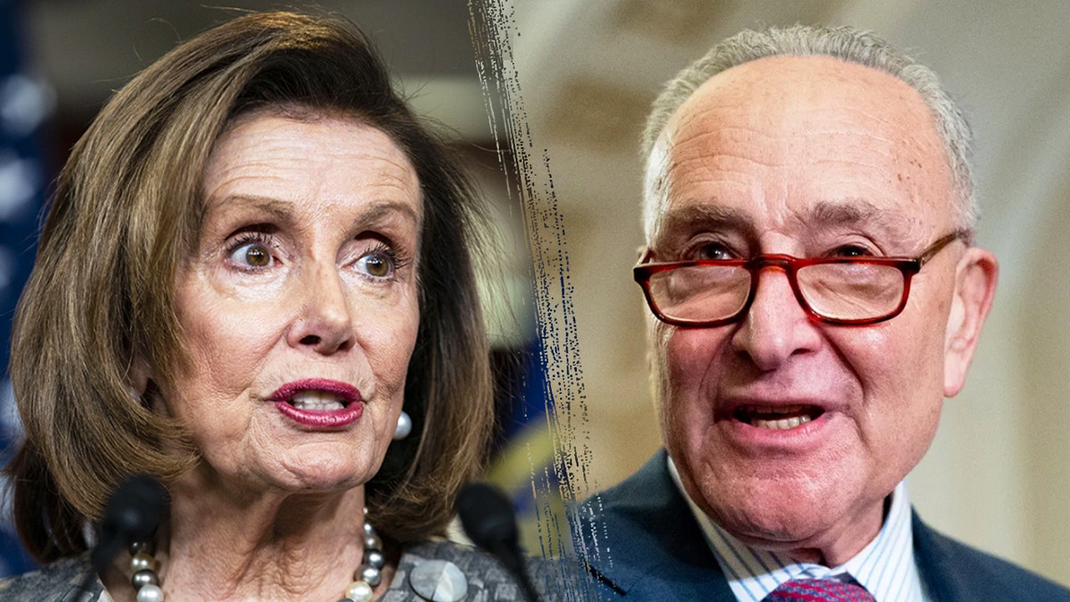 Representative Nancy Pelosi and Senator Chuck Schumer