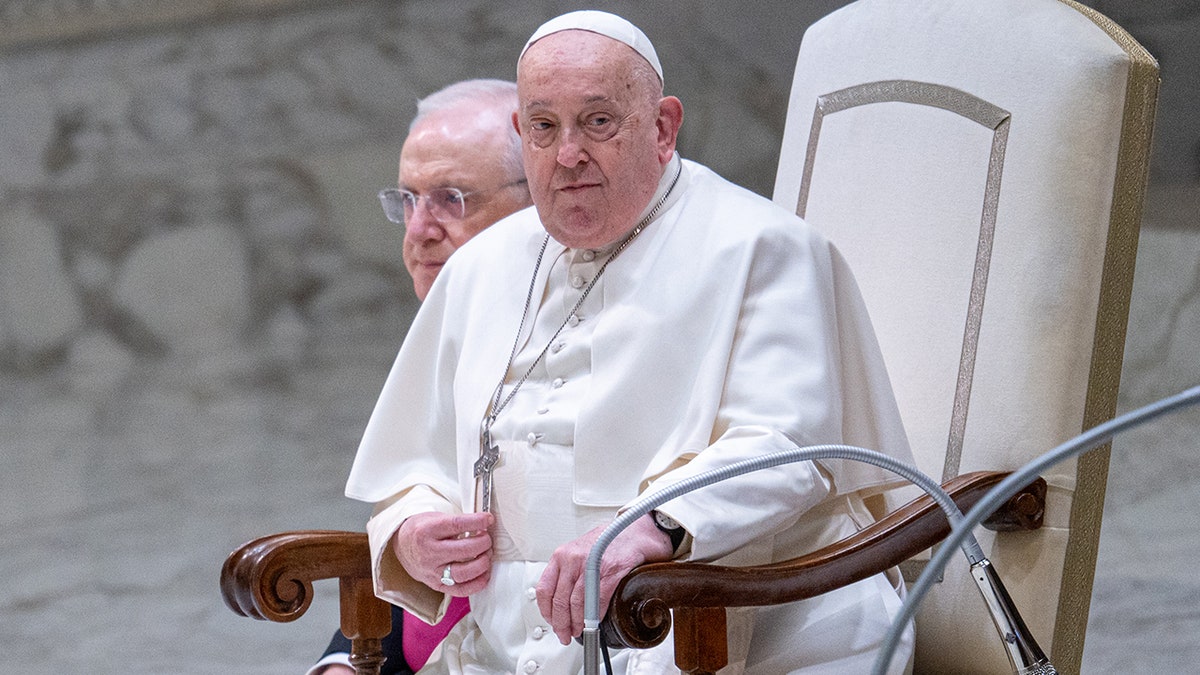 Pope Francis attends general audience