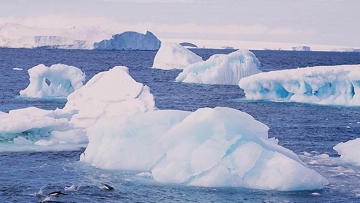 Queen Maud Earth Ice and Frozen Sea