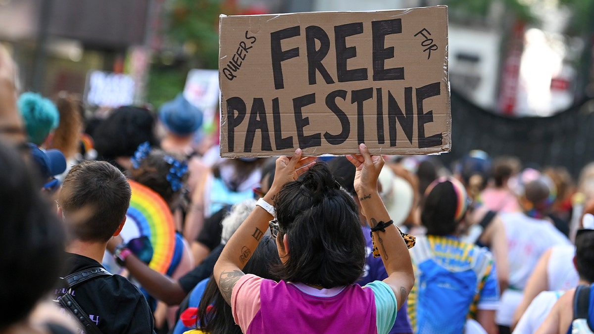 The person holds a "Queers for a free Palestine" sign