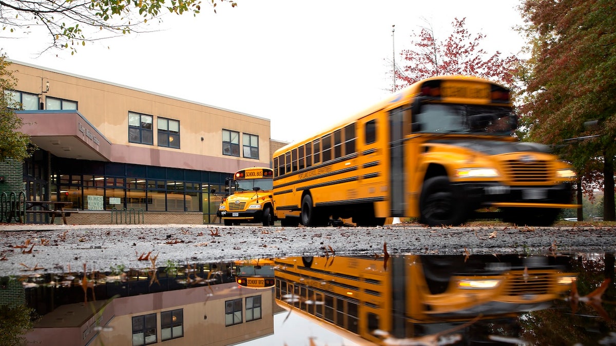 Buses leave the school