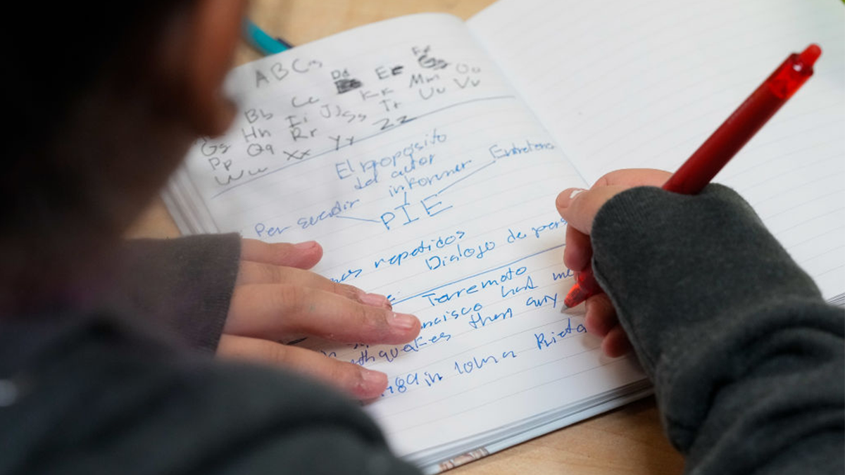 Young student doing homework