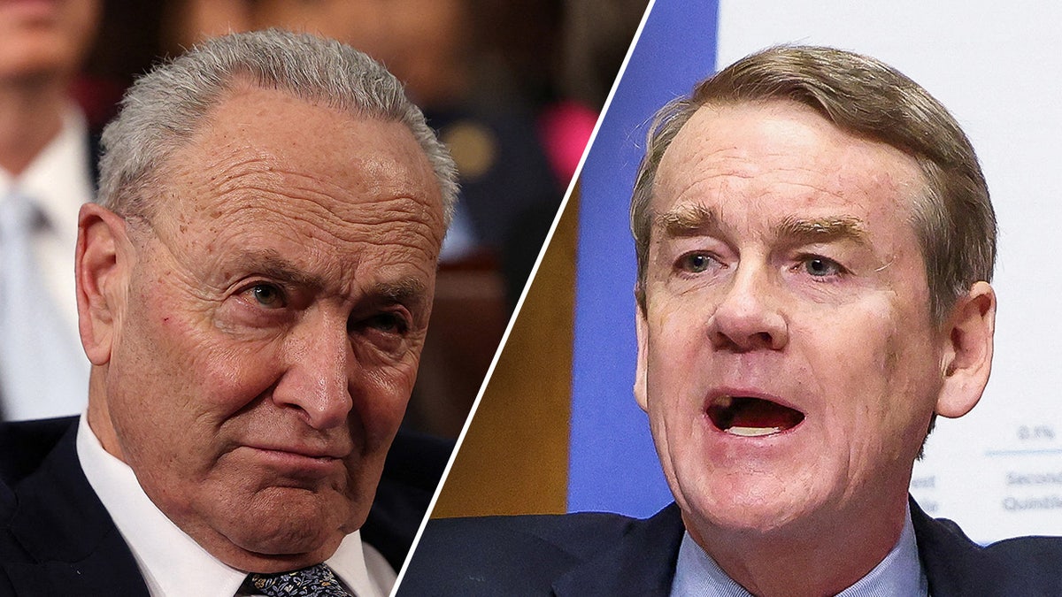 Chuck Schumer, Michael Bennet