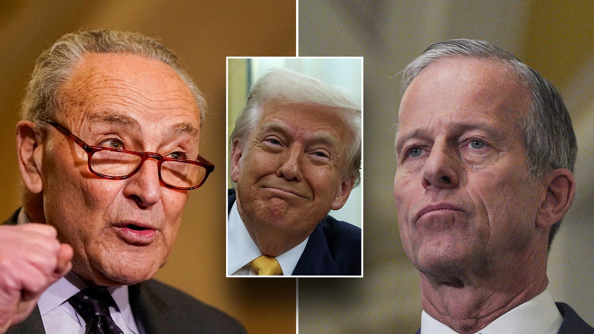 Chuck Schumer, Donald Trump, John Tune