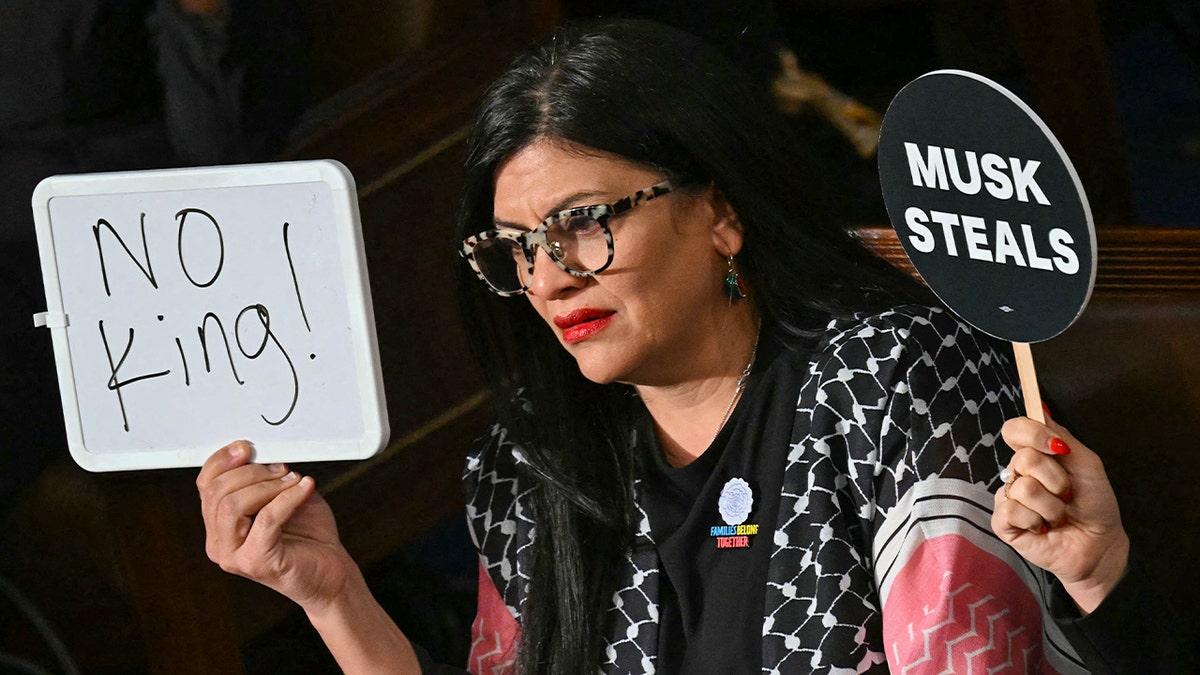 Tlaib with a "no king" sign protesting Trump