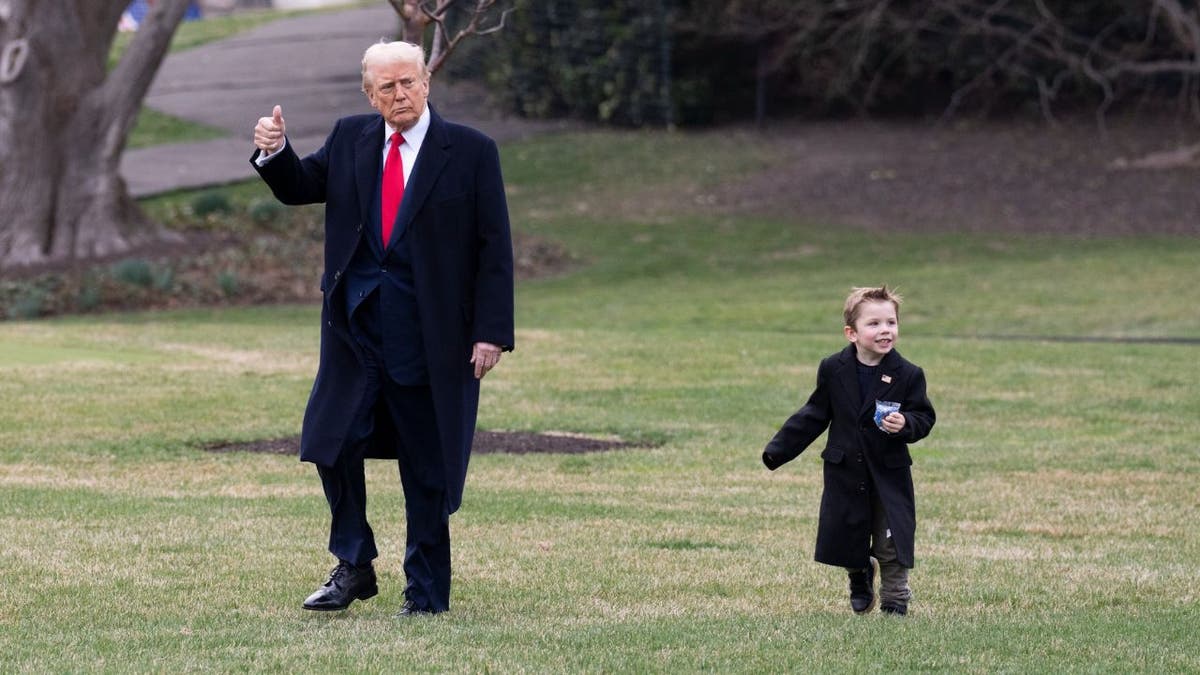 This picture of President Trump and Elon Musk's son Æ A-Xii,, or "Lil X," has gone viral