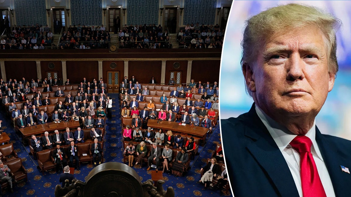 President Donald Trump, Congress split