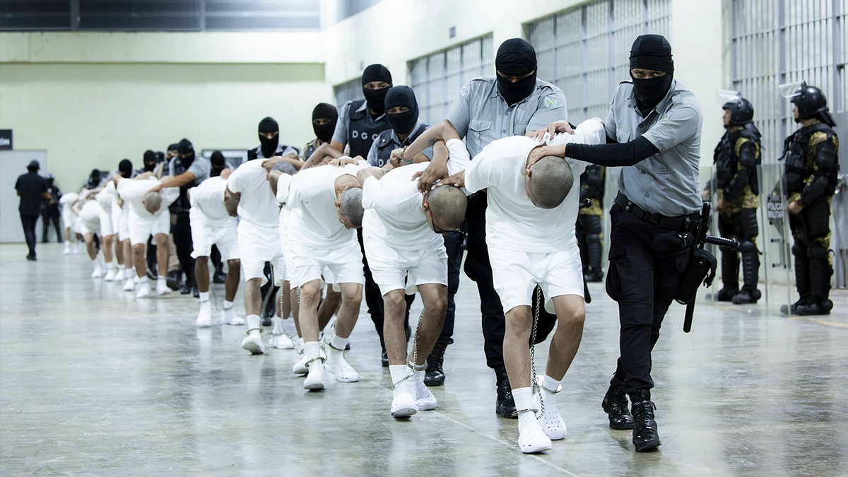 Prisoners in El Salvador Prison are lined up by guards