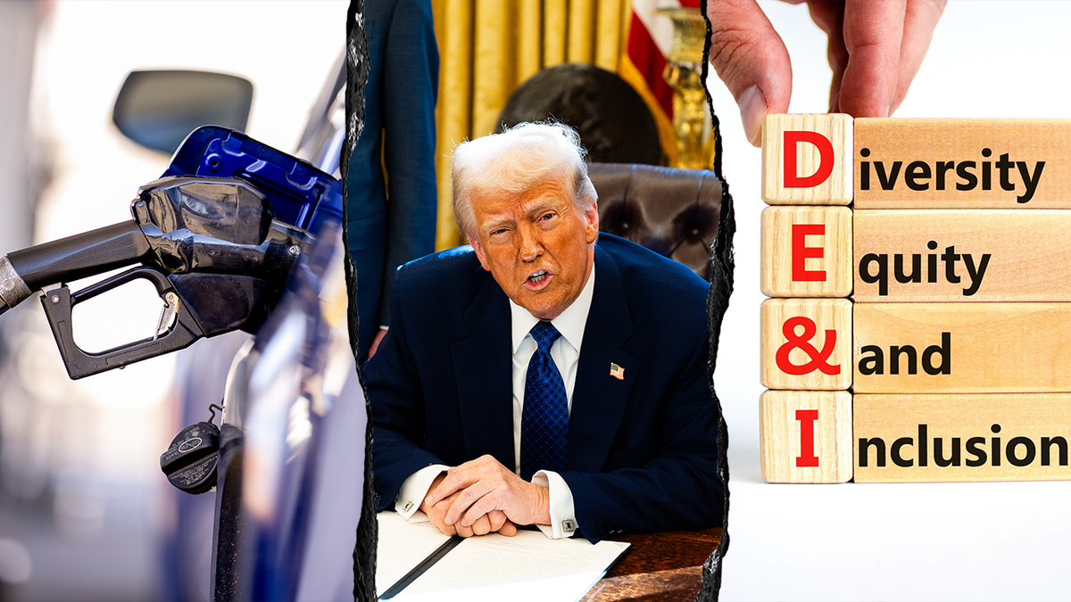 O advogado geral do Escritório de Responsabilidade do Governo, que parou a agressiva lei de emissão de gás do presidente Donald Trump na Califórnia, já conduziu a iniciativa DII para a agência.