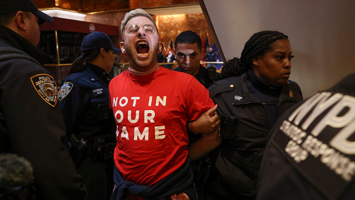 New York Police officers arrest a demonstrator