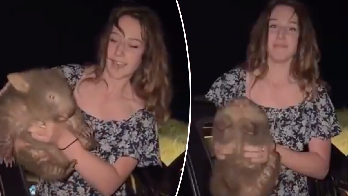 Sam Jones laughing and holding wombat