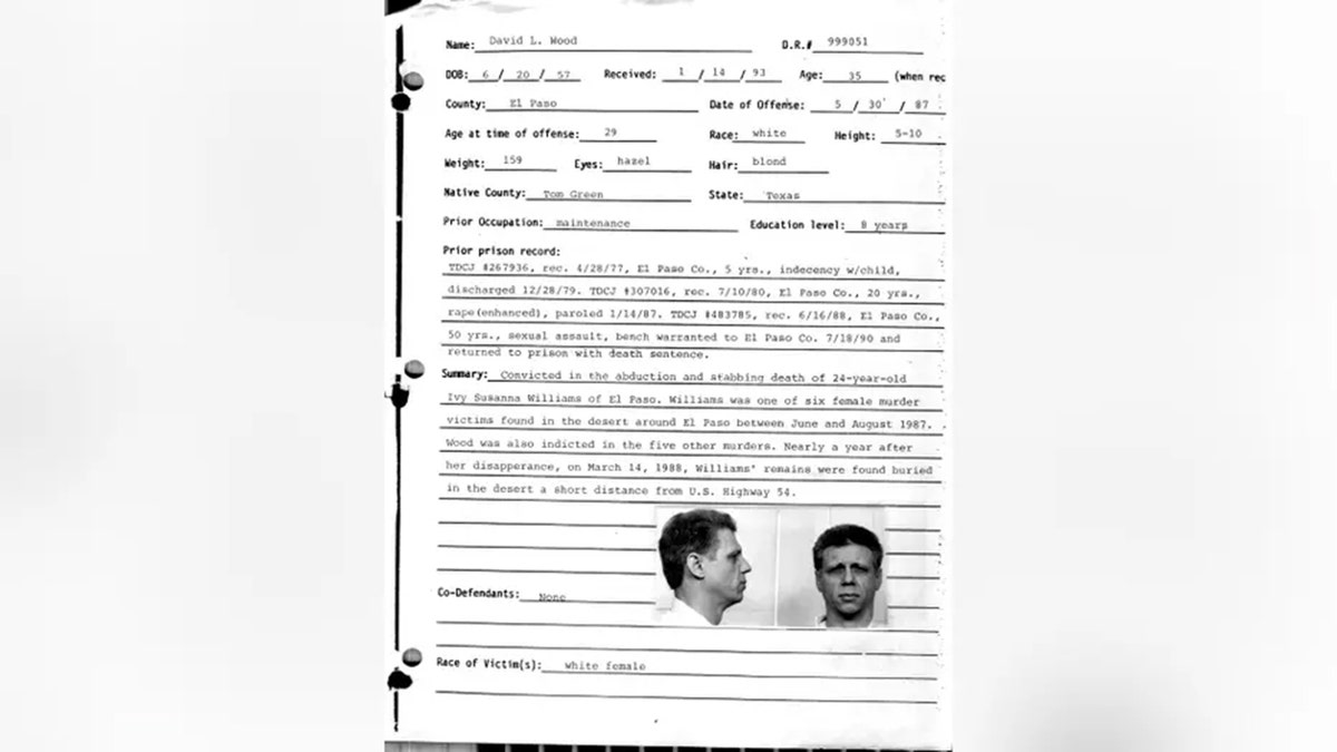 David Wood prison file