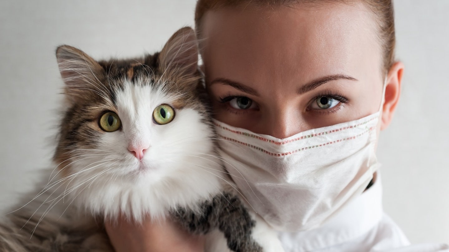 girl holding cat mask