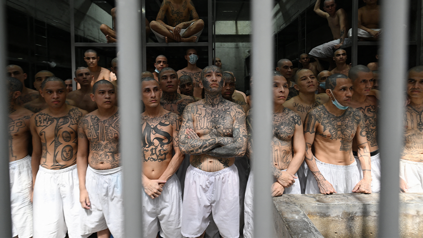ms 13