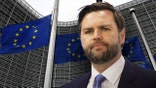 Vice President JD Vance looks on behind shot of the EU parliament.