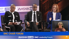 Democratic Party insiders dismayed after DNC meeting goes off the rails in 'Titanic'-style anti-Trump forum