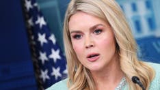 Karoline Leavitt says AP reporter 'clearly' failed to grasp Trump's tariff plan after heated exchange