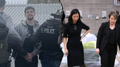 Blue state leader sounds alarm about 'perfect storm' of Dem immigration policies decimating public safety