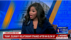 Rep. Jasmine Crockett calls President Trump an 'enemy to the United States'