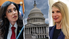 Reporter's Notebook: Should the House allow members of Congress to vote remotely?