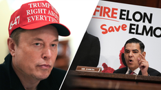 Elon Musk torches Democrats for being 'real villains' of Tesla vandalism, blames left-wing propaganda