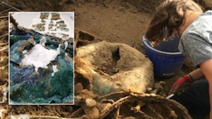 Metal detectorist unwittingly discovers strange hoard of hundreds of ancient objects: 'Rarely seen'