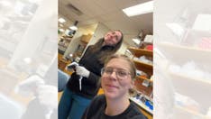 Russian scientist at Harvard Medical School detained by ICE at Boston airport