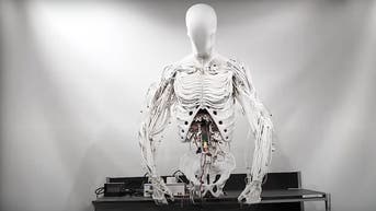 Creepy humanoid robot moves using 1,000 eerie artificial muscles - Fox News