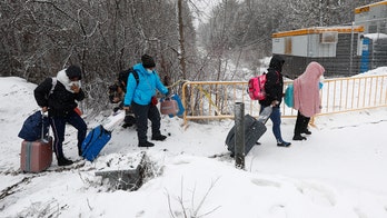 Canada can expect a 'tsunami of illegal immigrants' thanks to Trump policies, professor warns