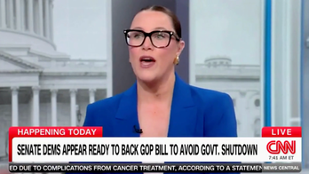 CNN commentator says 'Democrats are a mess,' need to 'get it together' to fight Trump