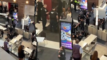 DC-area mall shut down after multiple fights in food court, 3 teens hit with riot charges