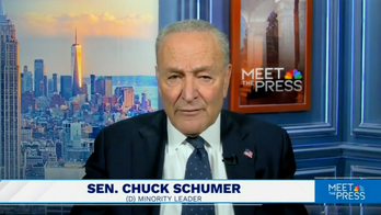 Chuck Schumer accuses Trump of causing a 'constitutional crisis' for battling with judges over immigration