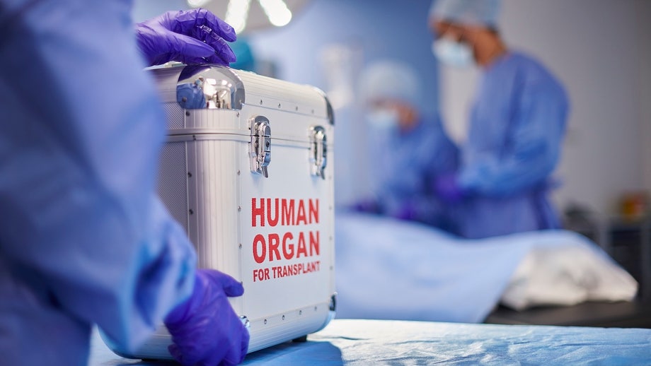 Patient dies of rabies after organ transplant from infected donor