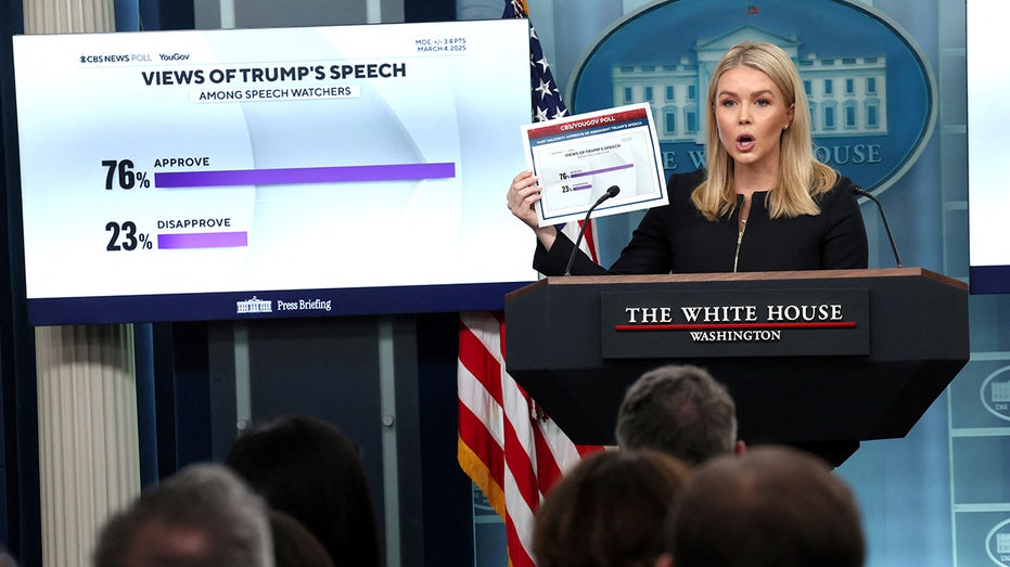 Democrats’ behavior at Trump’s Congress address ‘completely disgraceful,’ press secretary says