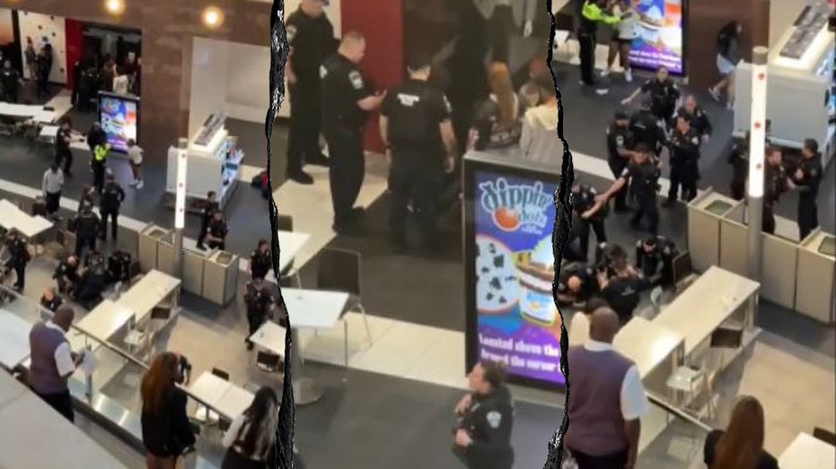 DC-area mall shut down after multiple fights in food court, 3 teens hit with riot charges