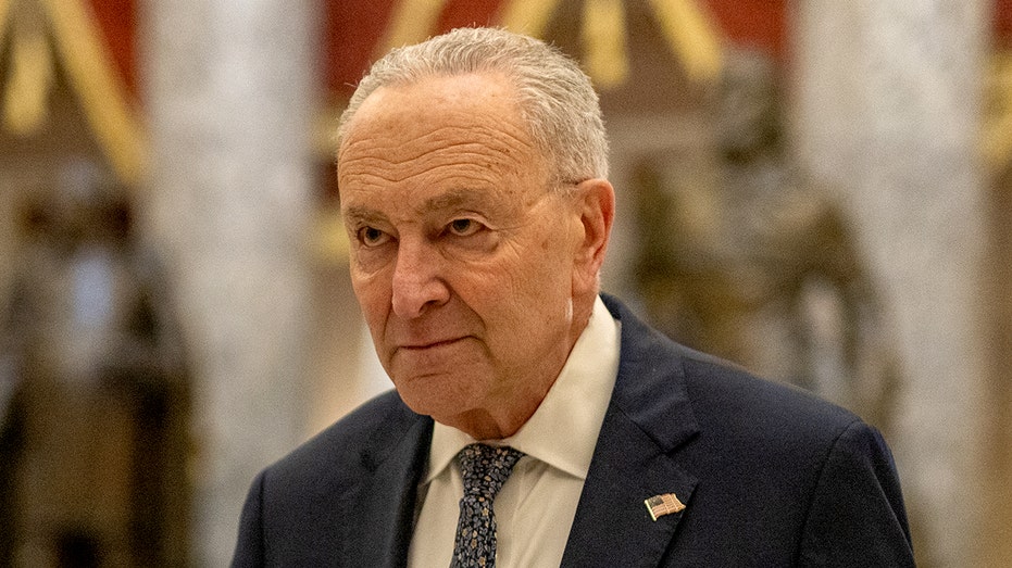 Schumer book events called off over ‘security concerns’ week of release