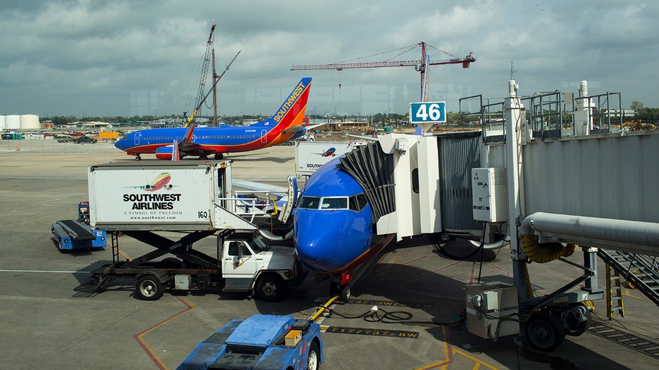 Southwest plane forced to go back to gate as passenger strips naked: reports